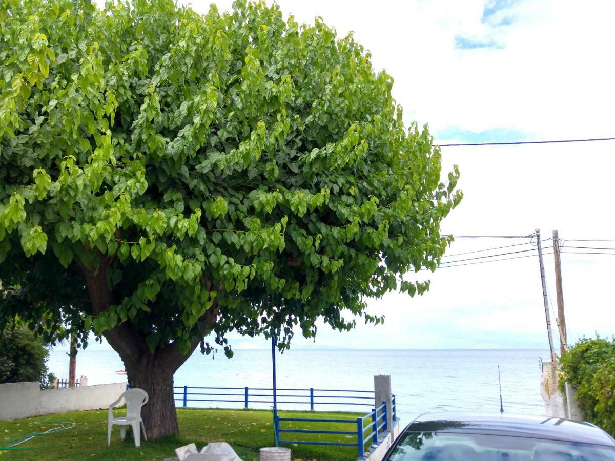Papadogiannopoulos House آيجيون المظهر الخارجي الصورة